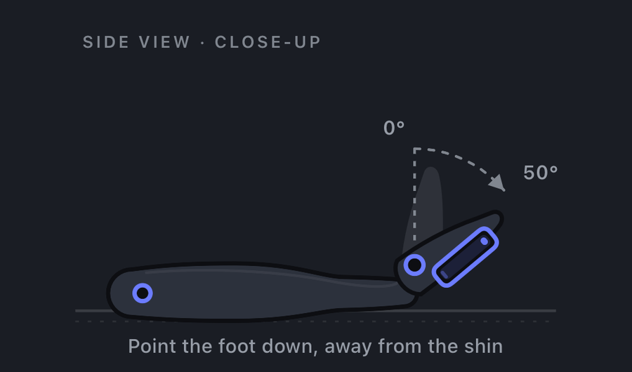 Ankle plantarflexion measurement: foot pointing down and away from the shin, 0 to 50 degrees.