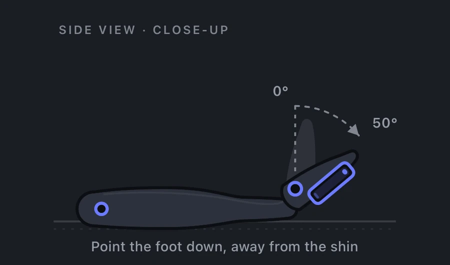 Ankle plantarflexion measurement: foot pointing down and away from the shin, 0 to 50 degrees.