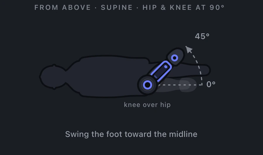 Hip external rotation measurement: hip and knee flexed to 90 degrees, shin swinging so the foot moves toward the midline, 0 to 45 degrees.