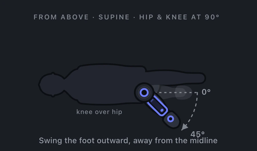Hip internal rotation measurement: hip and knee flexed to 90 degrees, shin swinging so the foot moves outward away from the midline, 0 to 45 degrees.