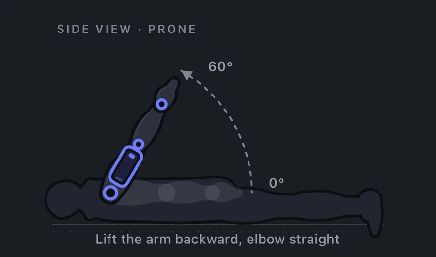 Shoulder extension measurement: patient prone, arm lifting backward off the table, 0 to 60 degrees.